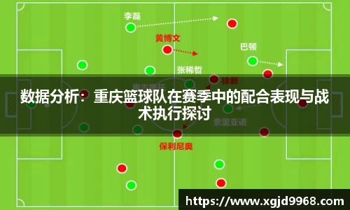 数据分析：重庆篮球队在赛季中的配合表现与战术执行探讨
