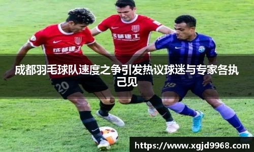 成都羽毛球队速度之争引发热议球迷与专家各执己见