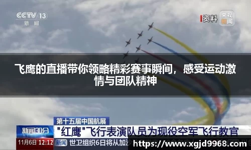 飞鹰的直播带你领略精彩赛事瞬间，感受运动激情与团队精神