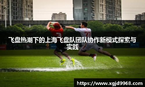 飞盘热潮下的上海飞盘队团队协作新模式探索与实践