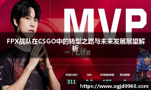 emc易倍