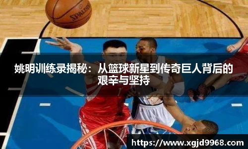 emc易倍·体育
