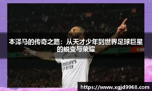 emc易倍体育